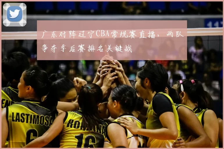 广东对阵辽宁CBA常规赛直播，两队争夺季后赛排名关键战