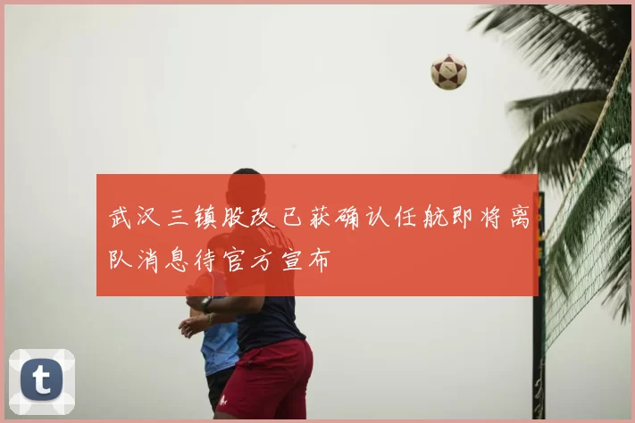 武汉三镇股改已获确认任航即将离队消息待官方宣布