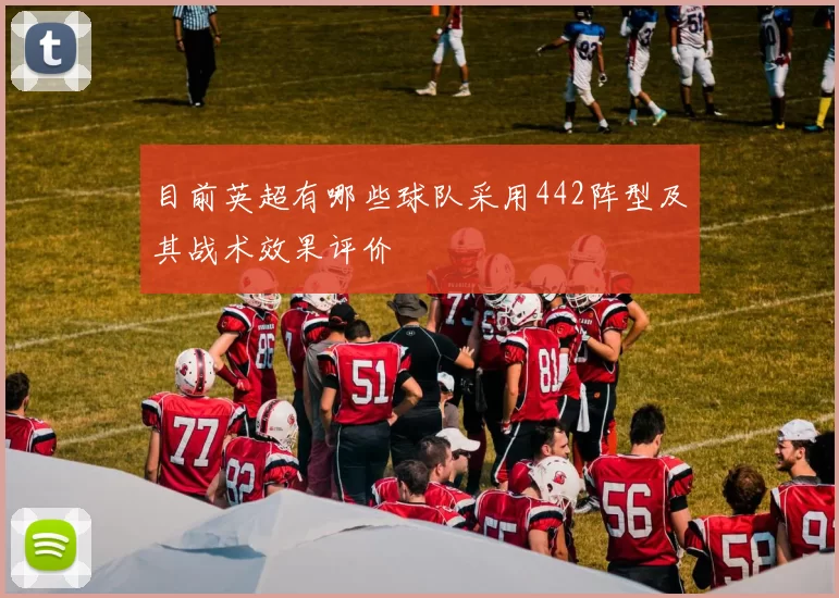 目前英超有哪些球队采用442阵型及其战术效果评价