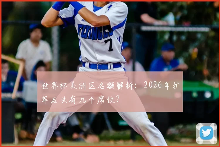 世界杯美洲区名额解析：2026年扩军后共有几个席位？