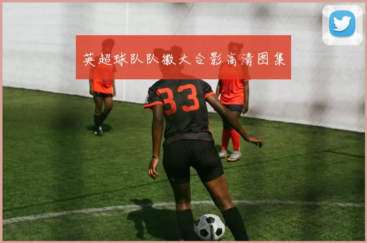 英超球队队徽大合影高清图集