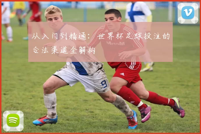 从入门到精通:世界杯足球投注的合法渠道全解构