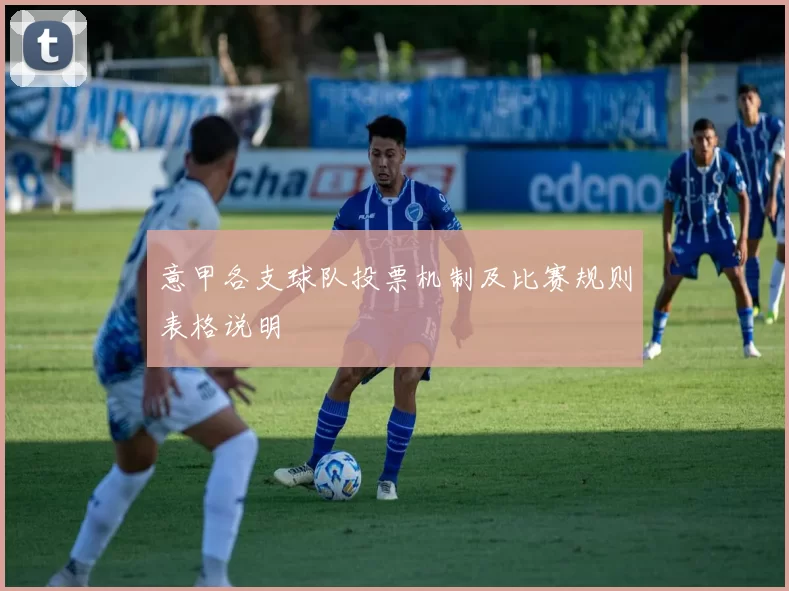 意甲各支球队投票机制及比赛规则表格说明