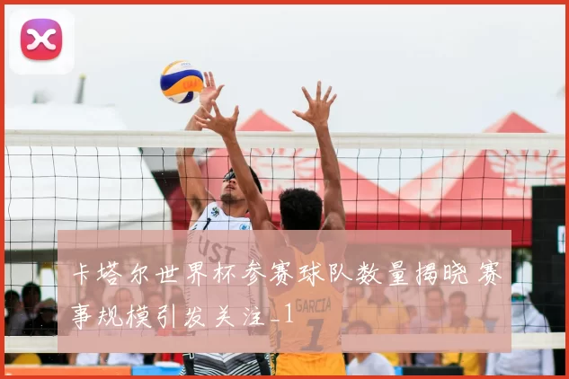卡塔尔世界杯参赛球队数量揭晓 赛事规模引发关注_1