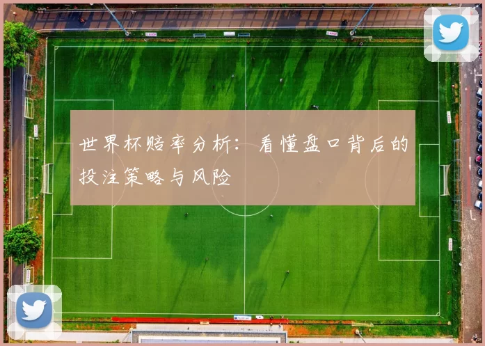 世界杯赔率分析:看懂盘口背后的投注策略与风险