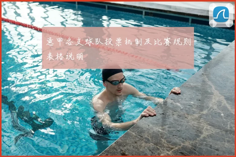意甲各支球队投票机制及比赛规则表格说明