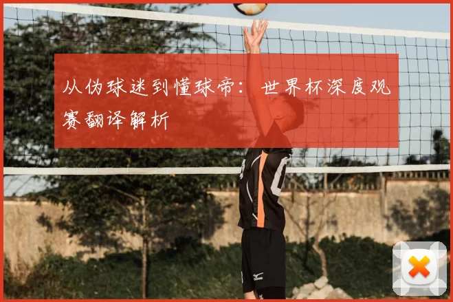 从伪球迷到懂球帝：世界杯深度观赛翻译解析