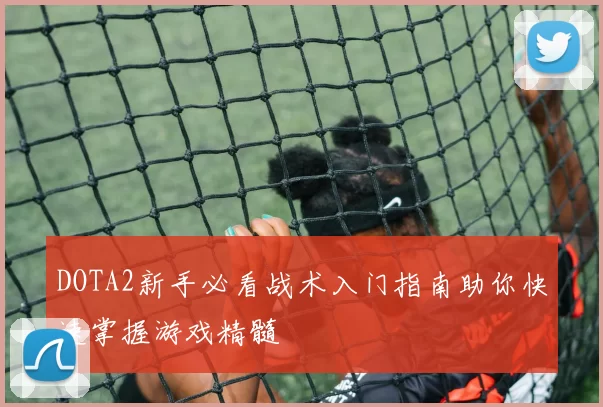 DOTA2新手必看战术入门指南助你快速掌握游戏精髓