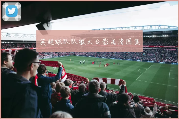 英超球队队徽大合影高清图集