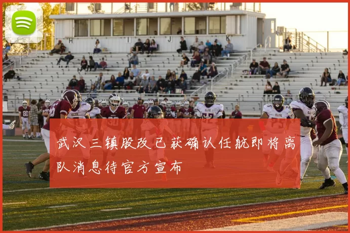 武汉三镇股改已获确认任航即将离队消息待官方宣布