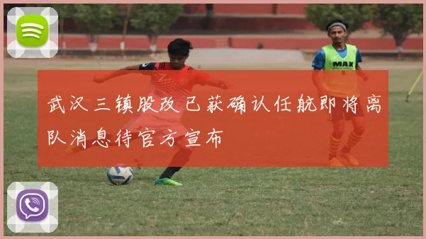 武汉三镇股改已获确认任航即将离队消息待官方宣布
