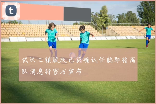 武汉三镇股改已获确认任航即将离队消息待官方宣布