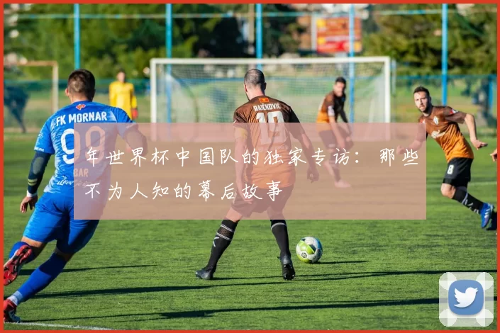 年世界杯中国队的独家专访:那些不为人知的幕后故事