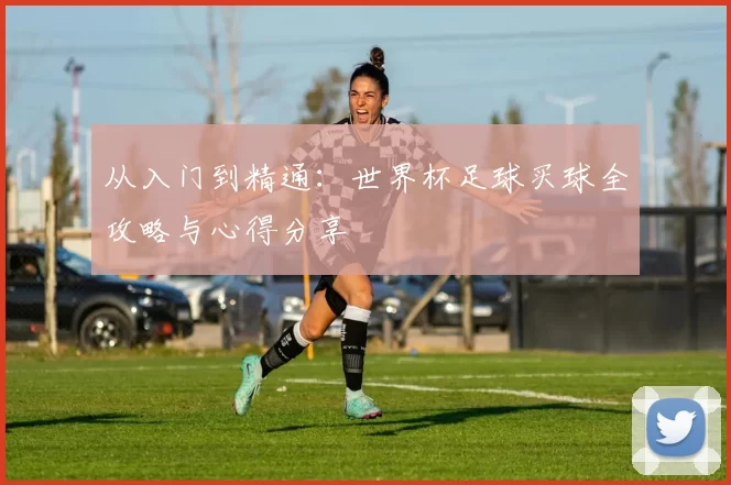从入门到精通:世界杯足球买球全攻略与心得分享