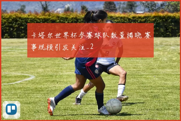 卡塔尔世界杯参赛球队数量揭晓 赛事规模引发关注_2