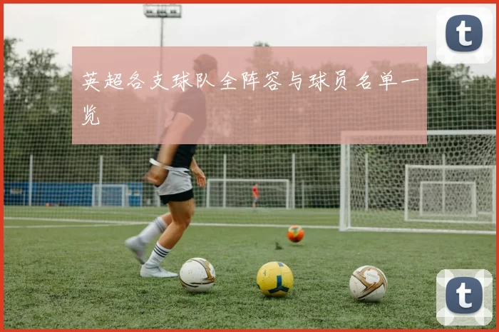 英超各支球队全阵容与球员名单一览