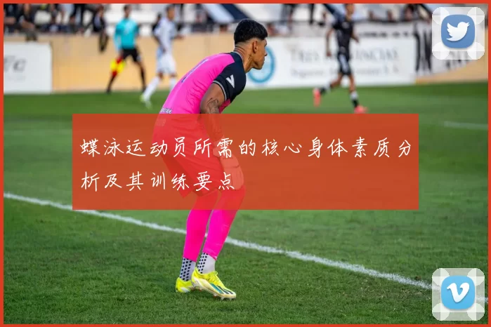 蝶泳运动员所需的核心身体素质分析及其训练要点