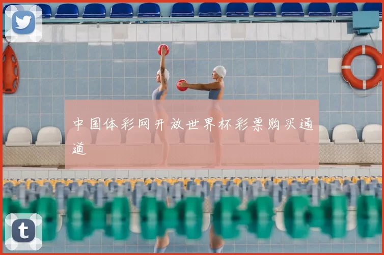 中国体彩网开放世界杯彩票购买通道
