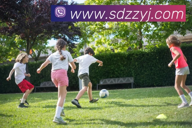 九游体育APP 高清赛事图